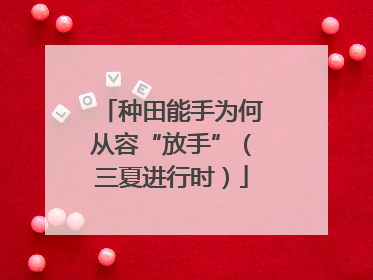 种田能手为何从容“放手”（三夏进行时）