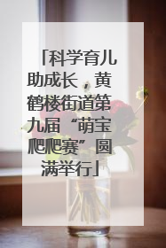 科学育儿助成长，黄鹤楼街道第九届“萌宝爬爬赛”圆满举行