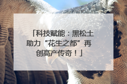 科技赋能：黑松土助力“花生之都”再创高产传奇！