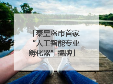 秦皇岛市首家“人工智能专业孵化器”揭牌