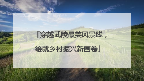 穿越武陵最美风景线，绘就乡村振兴新画卷