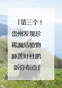 第三个！贵州发现珍稀濒危植物睡莲叶杜鹃新分布点