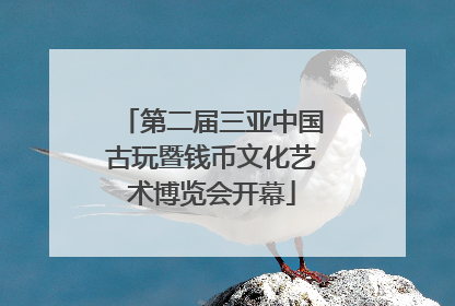第二届三亚中国古玩暨钱币文化艺术博览会开幕