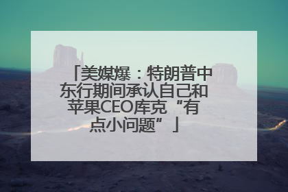 美媒爆：特朗普中东行期间承认自己和苹果CEO库克“有点小问题”