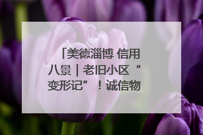 美德淄博 信用八景｜老旧小区“变形记”！诚信物业焐热居民心窝