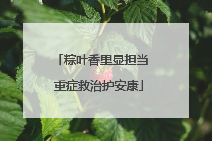 粽叶香里显担当 重症救治护安康