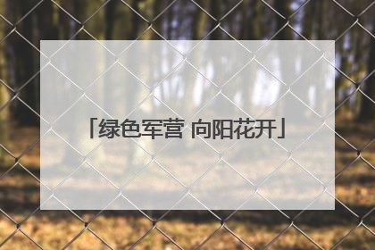 绿色军营 向阳花开
