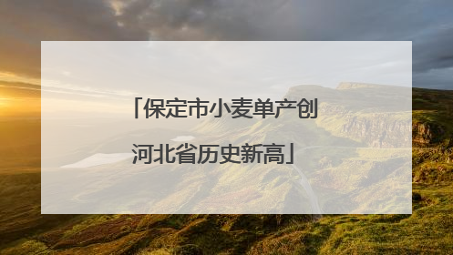 保定市小麦单产创河北省历史新高