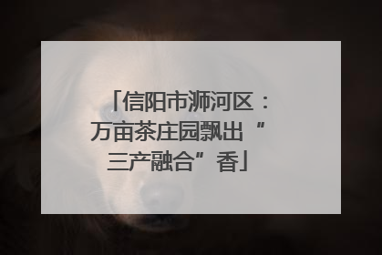 信阳市浉河区：万亩茶庄园飘出“三产融合”香