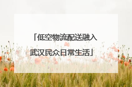 低空物流配送融入武汉民众日常生活