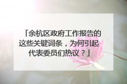 余杭区政府工作报告的这些关键词条，为何引起代表委员们热议？