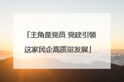 主角是党员 党建引领这家民企高质量发展