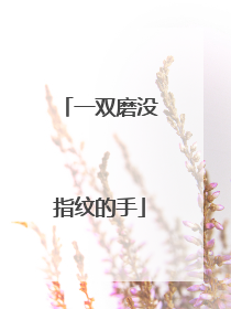 一双磨没指纹的手