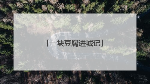 一块豆腐进城记
