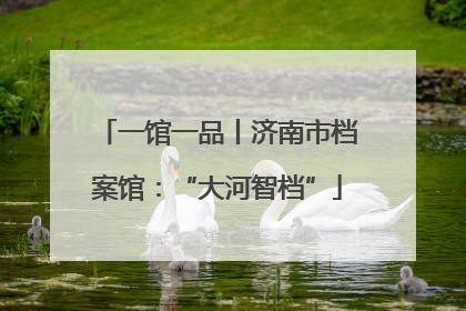 一馆一品丨济南市档案馆：“大河智档”