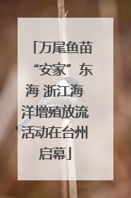 万尾鱼苗“安家”东海 浙江海洋增殖放流活动在台州启幕