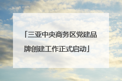 三亚中央商务区党建品牌创建工作正式启动