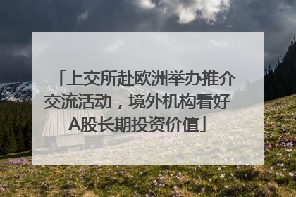 上交所赴欧洲举办推介交流活动，境外机构看好A股长期投资价值