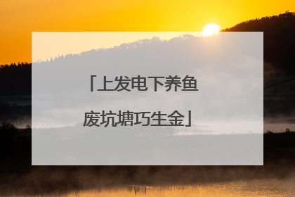 上发电下养鱼 废坑塘巧生金