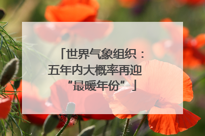 世界气象组织：五年内大概率再迎“最暖年份”