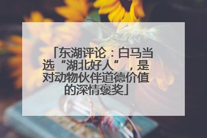 东湖评论：白马当选“湖北好人”，是对动物伙伴道德价值的深情褒奖