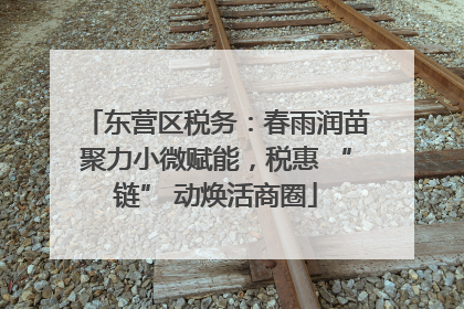 东营区税务：春雨润苗聚力小微赋能，税惠 “链” 动焕活商圈