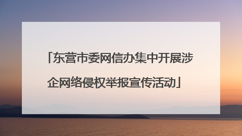 东营市委网信办集中开展涉企网络侵权举报宣传活动