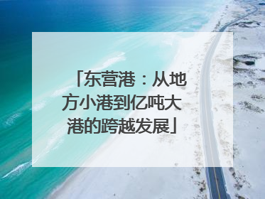 东营港：从地方小港到亿吨大港的跨越发展