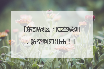 东部战区：陆空联训，防空利刃出击！
