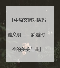 中原文明对话玛雅文明——跨越时空的美美与共