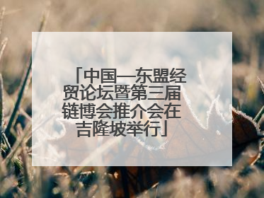 中国—东盟经贸论坛暨第三届链博会推介会在吉隆坡举行