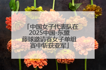 中国女子代表队在2025中国-东盟藤球邀请赛女子单组赛中斩获亚军