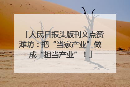 人民日报头版刊文点赞潍坊：把“当家产业”做成“担当产业”！