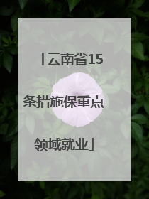 云南省15条措施保重点领域就业