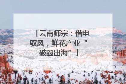 云南师宗：借电驭风，鲜花产业“破圈出海”