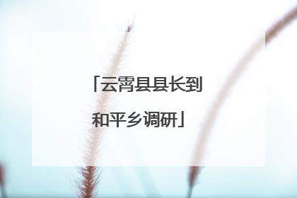 云霄县县长到和平乡调研