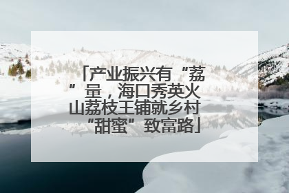 产业振兴有“荔”量，海口秀英火山荔枝王铺就乡村“甜蜜”致富路