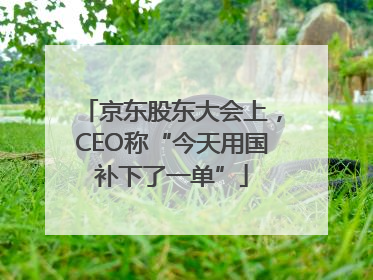 京东股东大会上，CEO称“今天用国补下了一单”