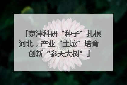 京津科研“种子”扎根河北，产业“土壤”培育创新“参天大树”