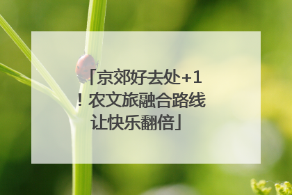京郊好去处+1！农文旅融合路线让快乐翻倍
