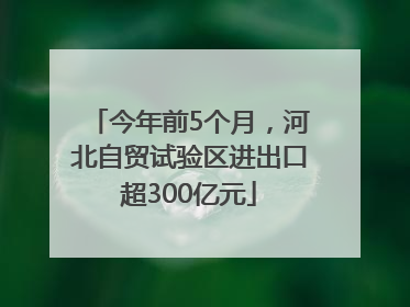 今年前5个月，河北自贸试验区进出口超300亿元