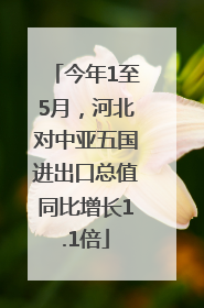 今年1至5月，河北对中亚五国进出口总值同比增长1.1倍