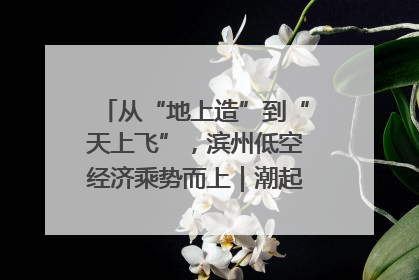 从“地上造”到“天上飞”，滨州低空经济乘势而上｜潮起渤海・网聚黄蓝