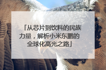 从芯片到饮料的民族力量，解析小米东鹏的全球化高光之路