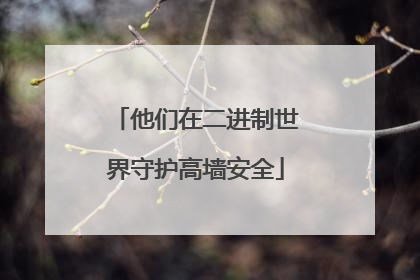 他们在二进制世界守护高墙安全