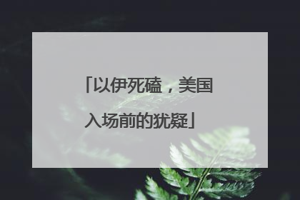 以伊死磕，美国入场前的犹疑