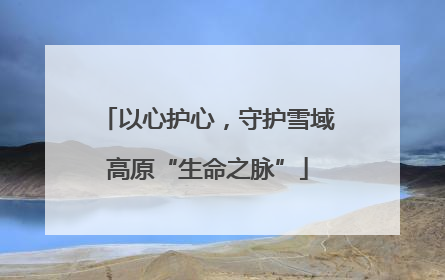以心护心，守护雪域高原“生命之脉”