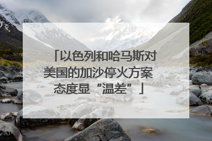 以色列和哈马斯对美国的加沙停火方案态度显“温差”
