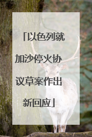 以色列就加沙停火协议草案作出新回应