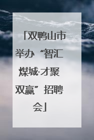 双鸭山市举办“智汇煤城·才聚双赢”招聘会
